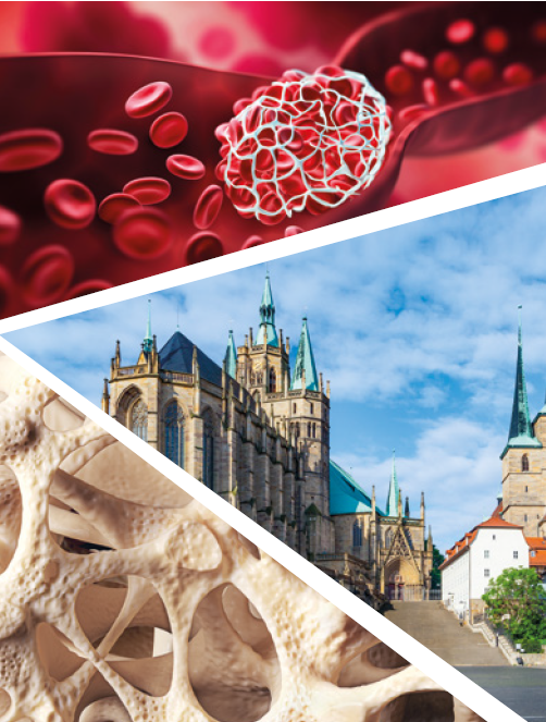 Labor Update III Erfurt 2025